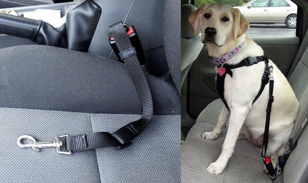 smycz dla psa do samochodu pasy bezpieczeństwa