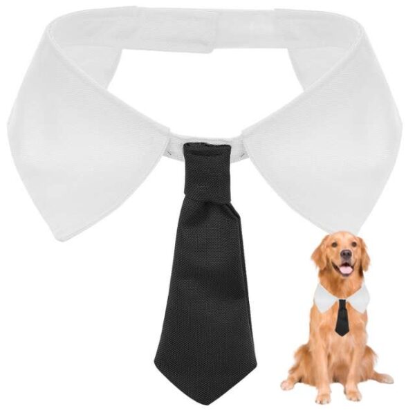 czarny-krawat-dla-psa-z-kolnierzykiem