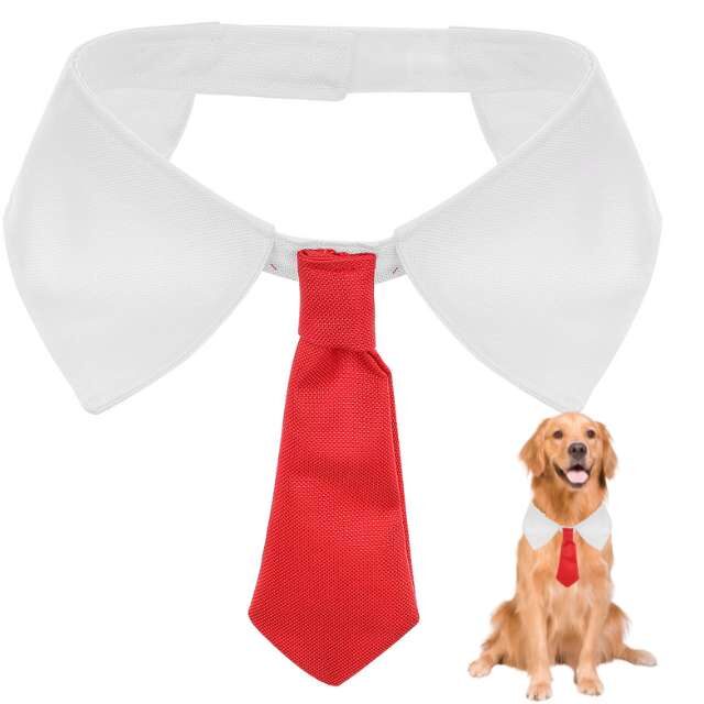 czerwony-krawat-dla-psa-z-kolnierzykiem