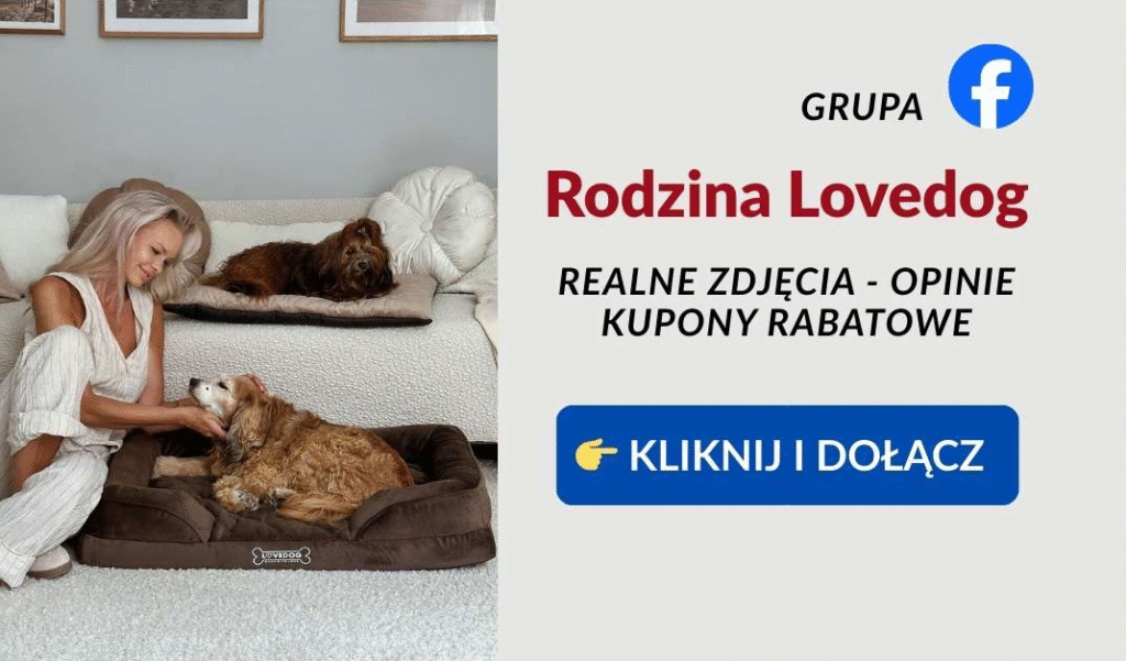 grupa-lovedog-opinie