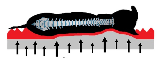 materac-dla-psa-ortopedyczny-lovedog